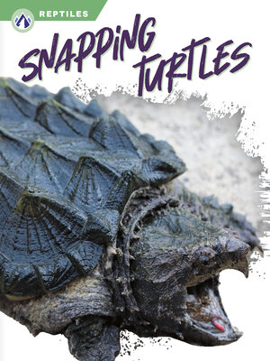 cover image of Snapping Turtles